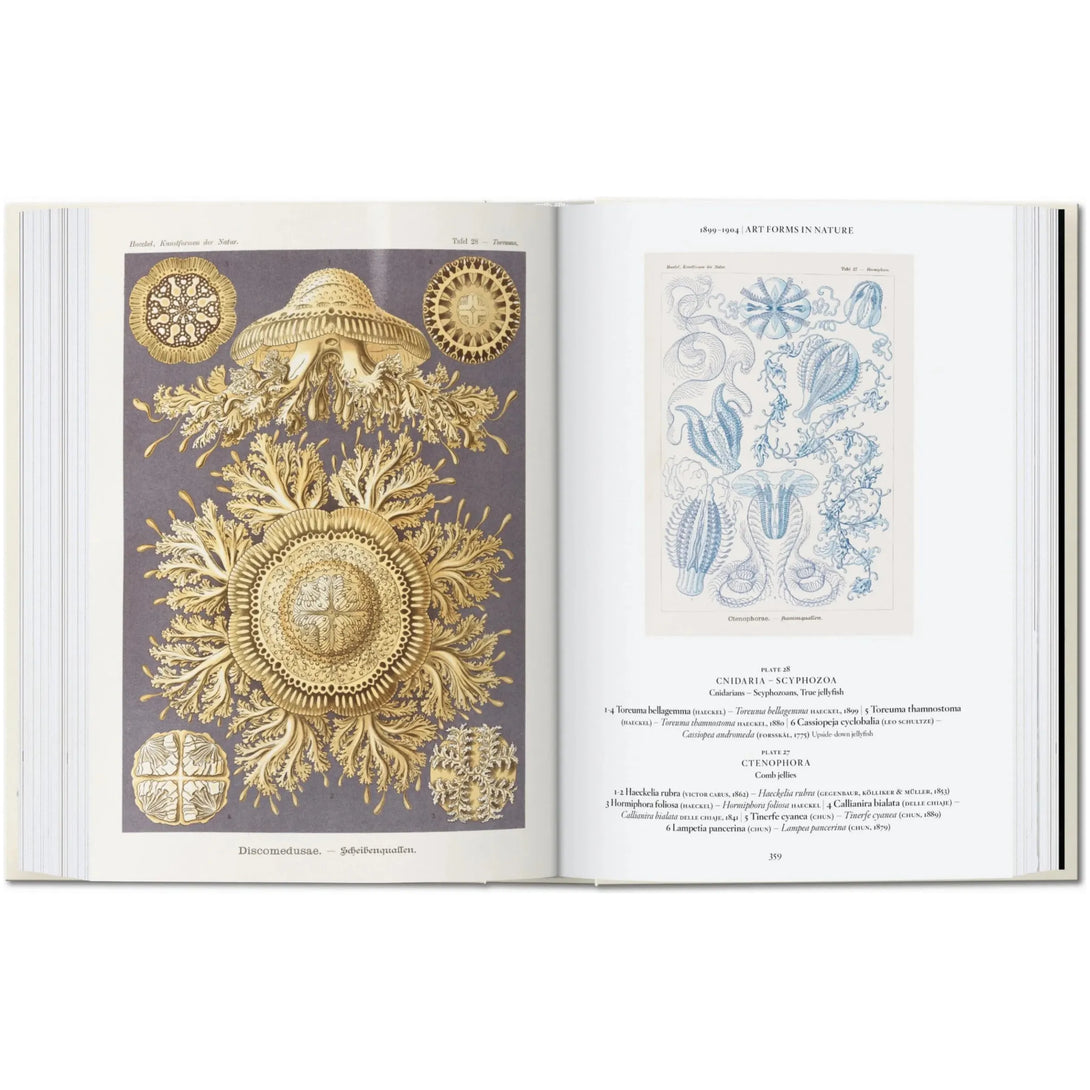 Art and Science of Ernst Haeckel. 40th Ed. - The Missing Piece Company