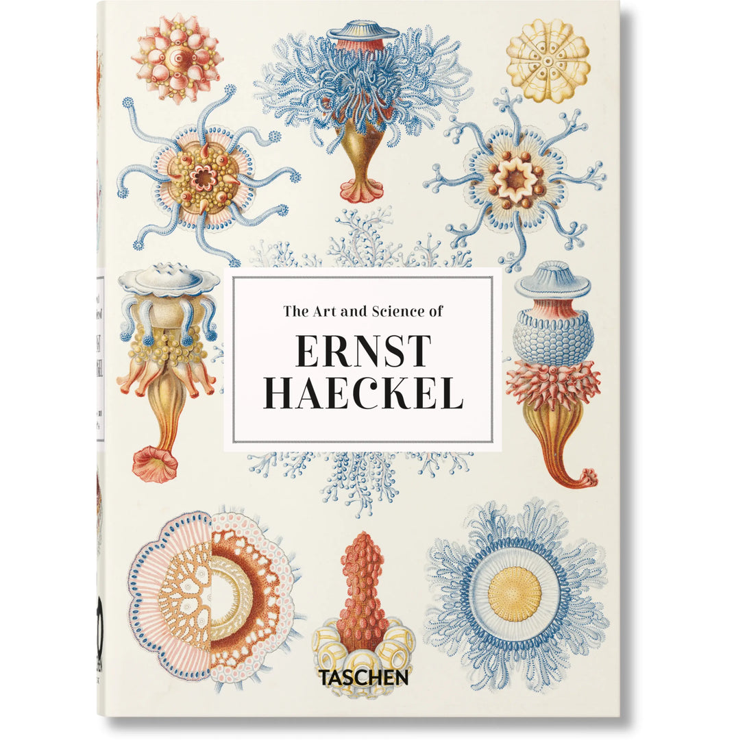 Art and Science of Ernst Haeckel. 40th Ed. - The Missing Piece Company