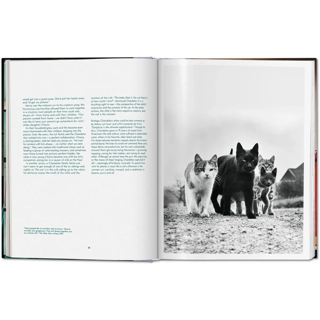 Walter Chandoha. Cats. Photographs 1942-2018 - The Missing Piece Company