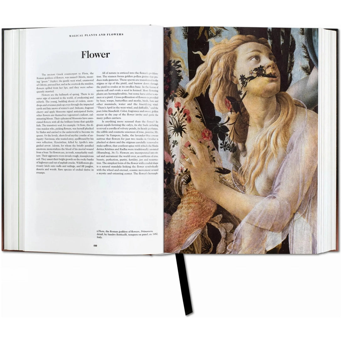 Book of Symbols. Reflections on Archetypal Images - The Missing Piece Company