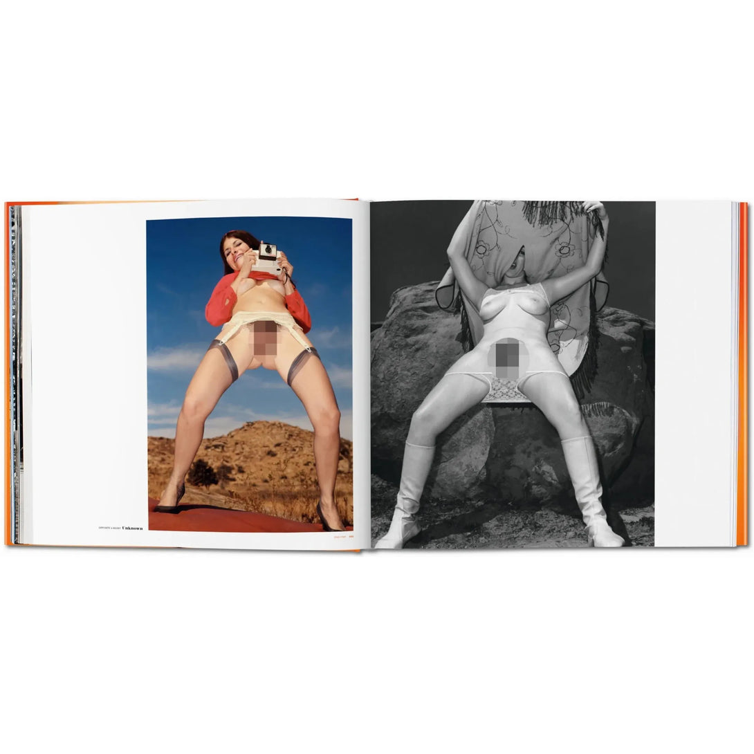Big Book of Pussy - The Missing Piece Company