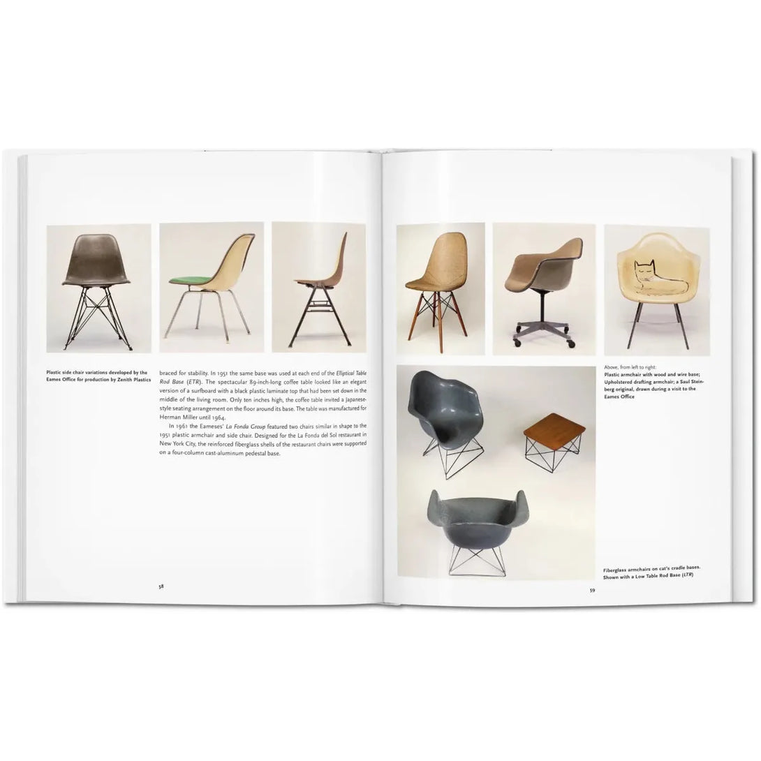 Eames - The Missing Piece Company