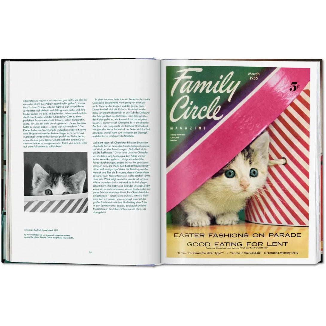 Walter Chandoha. Cats. Photographs 1942-2018 - The Missing Piece Company