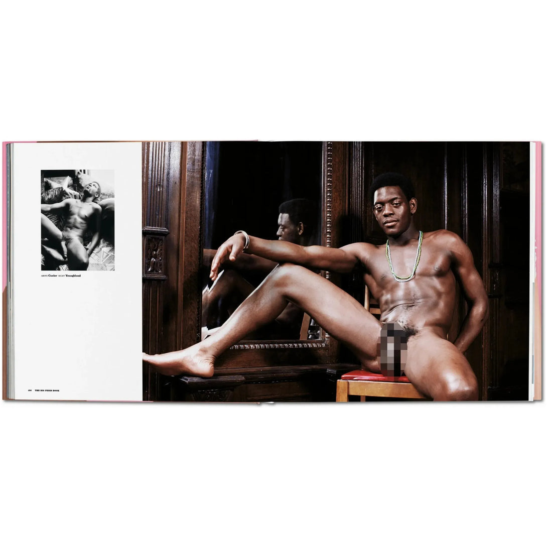 Big Penis Book - The Missing Piece Company