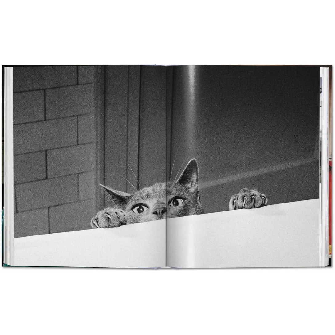 Walter Chandoha. Cats. Photographs 1942-2018 - The Missing Piece Company