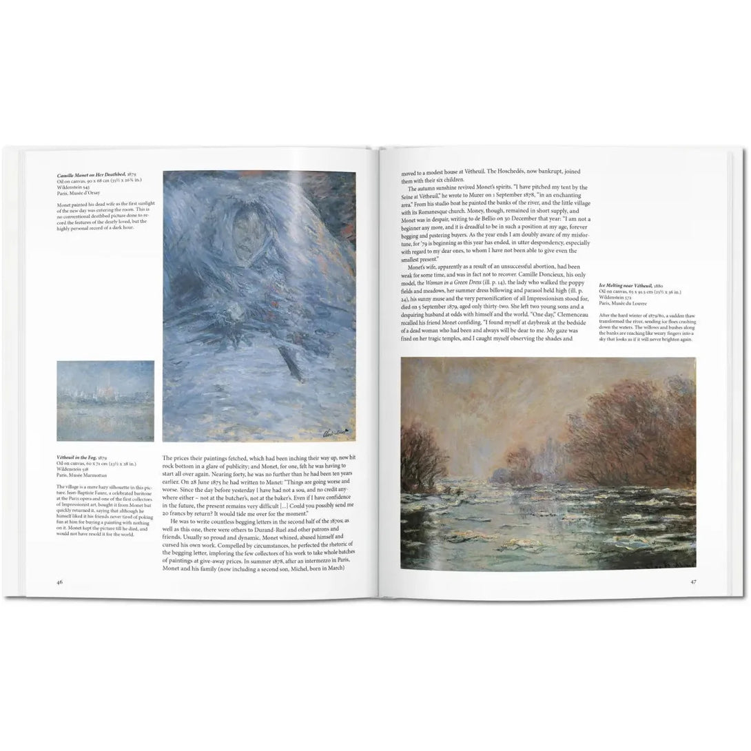 Monet - The Missing Piece Company