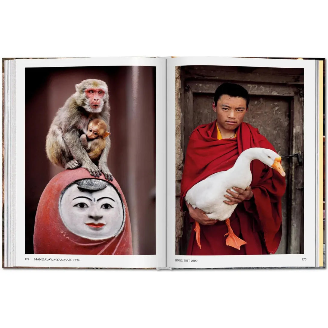Steve McCurry. Animals - The Missing Piece Company