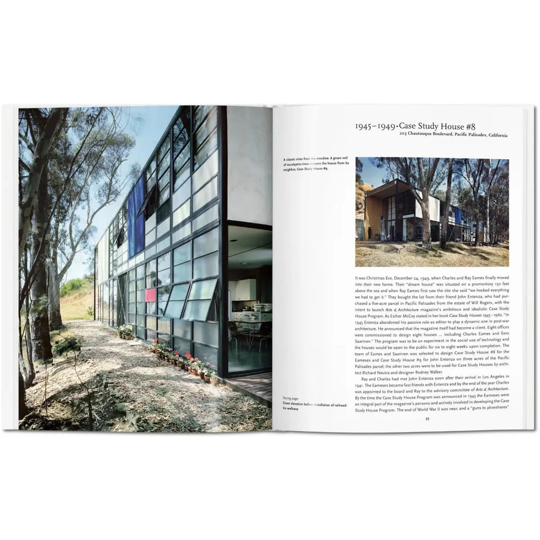 Eames - The Missing Piece Company