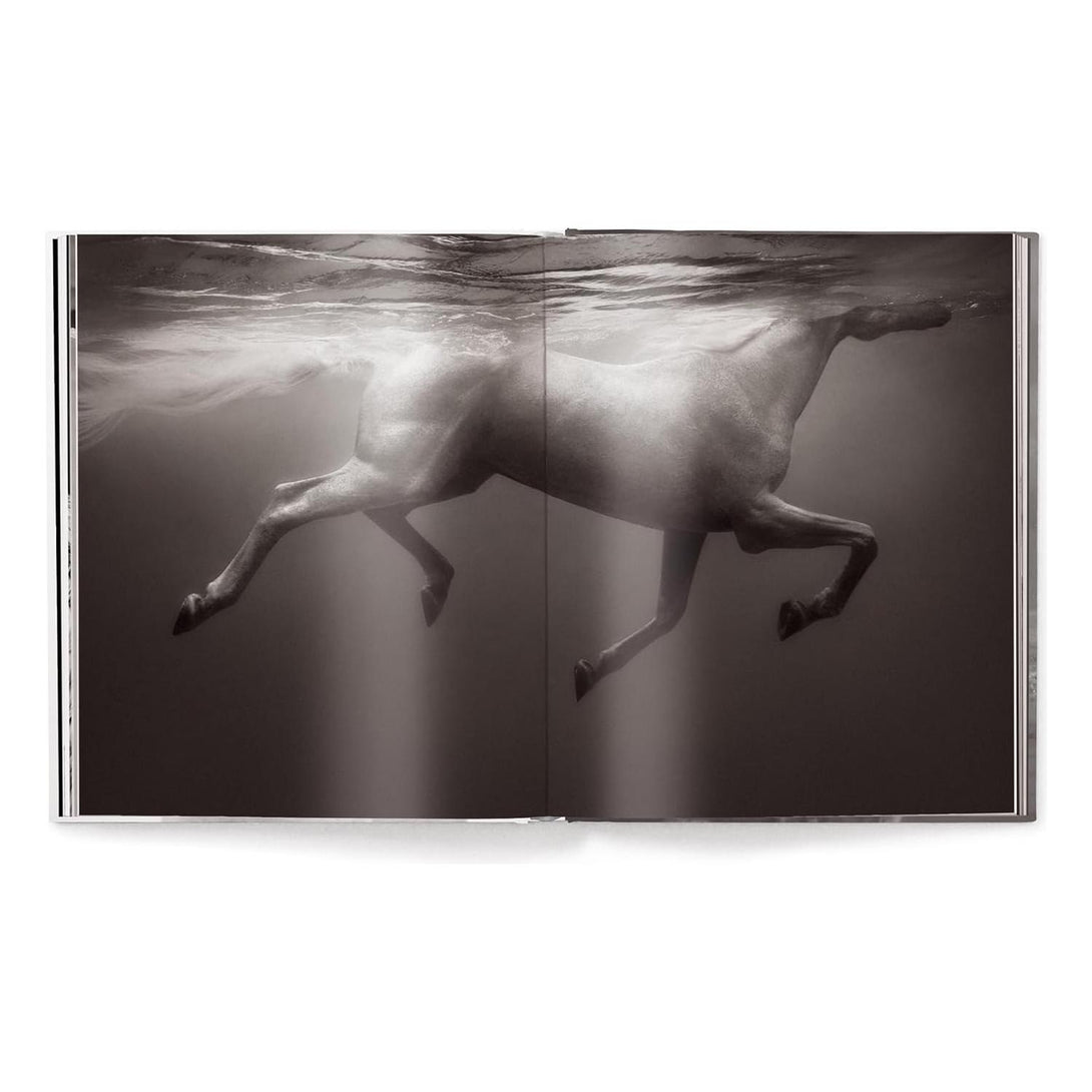 Untamed Spirits: Horses from Around the World - The Missing Piece Company