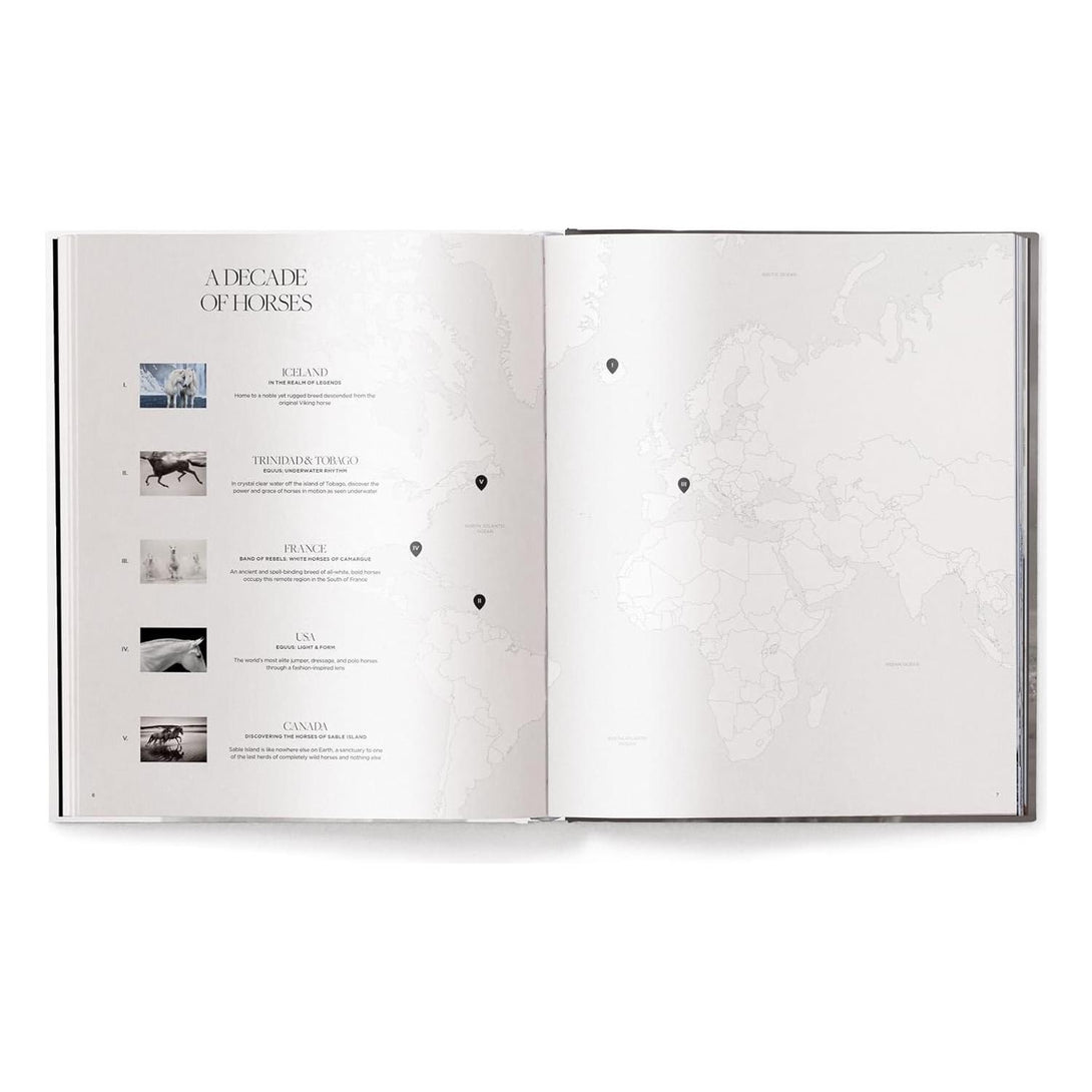 Untamed Spirits: Horses from Around the World - The Missing Piece Company