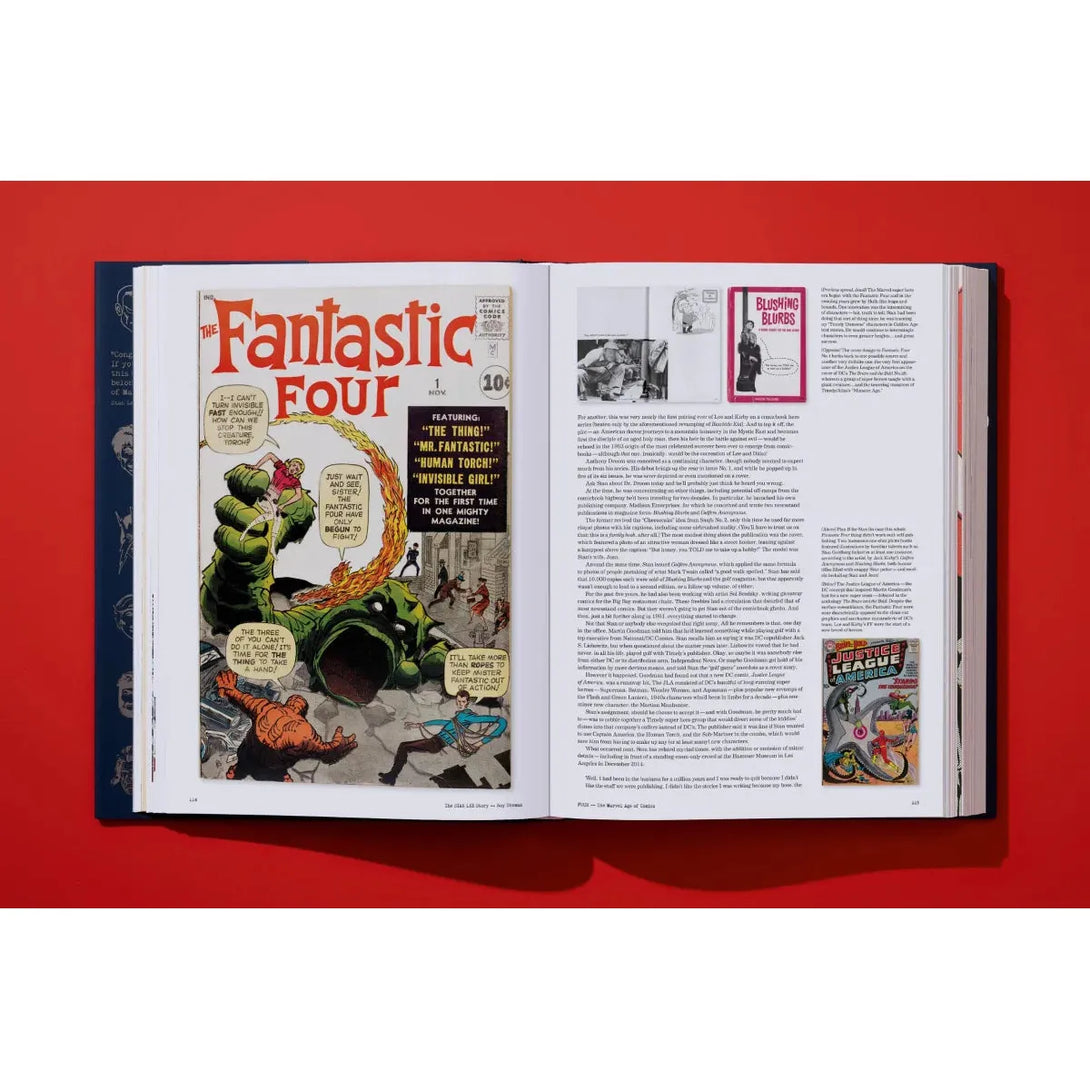 Stan Lee Story - The Missing Piece Company