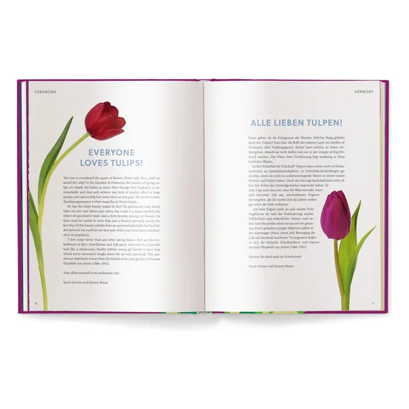 Tulips (English and German) - The Missing Piece Company