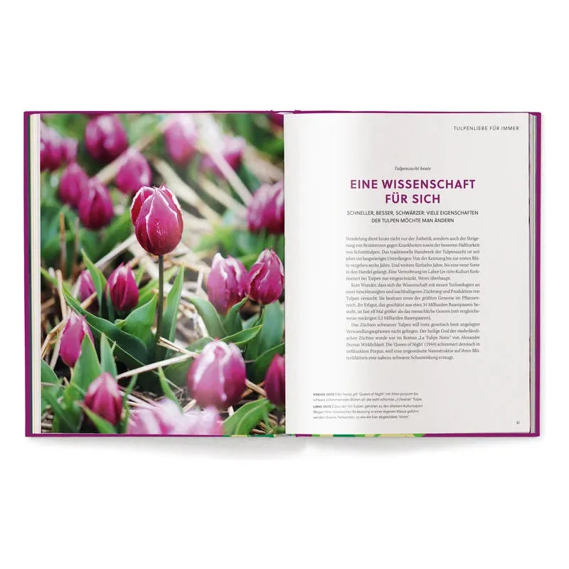 Tulips (English and German) - The Missing Piece Company