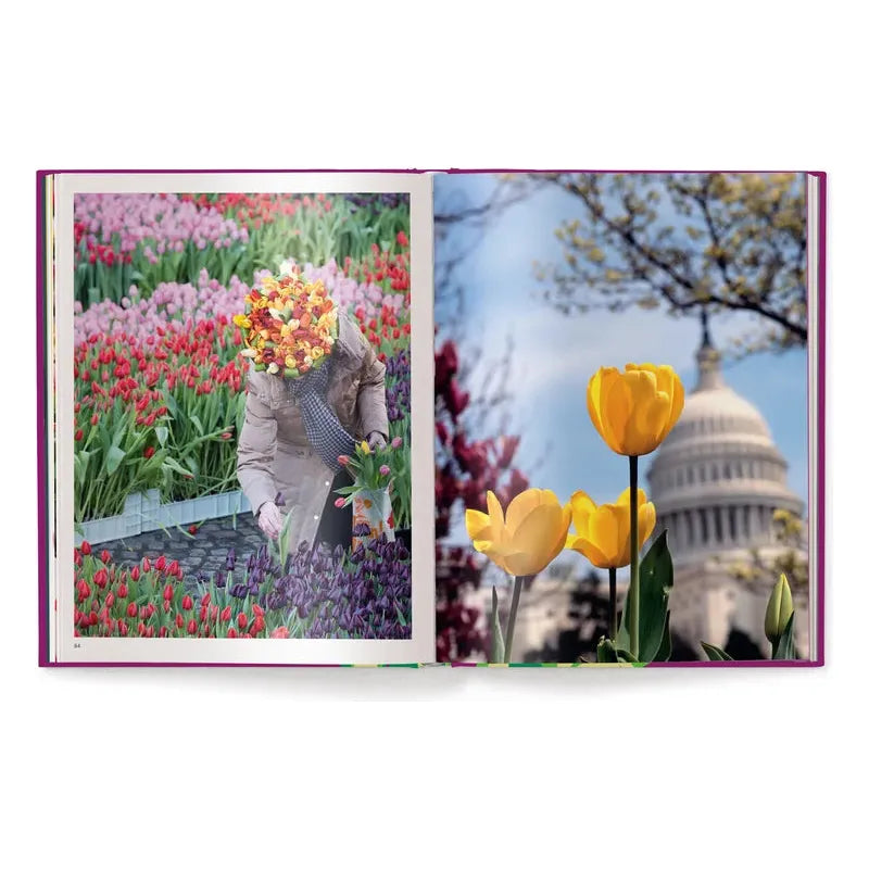 Tulips (English and German) - The Missing Piece Company
