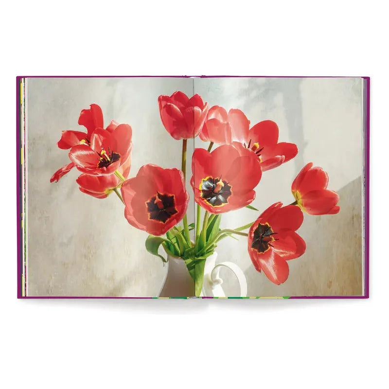 Tulips (English and German) - The Missing Piece Company
