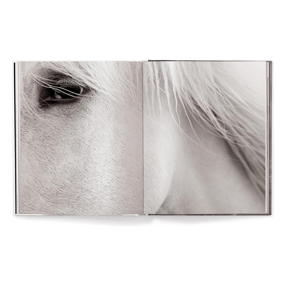 Untamed Spirits: Horses from Around the World - The Missing Piece Company