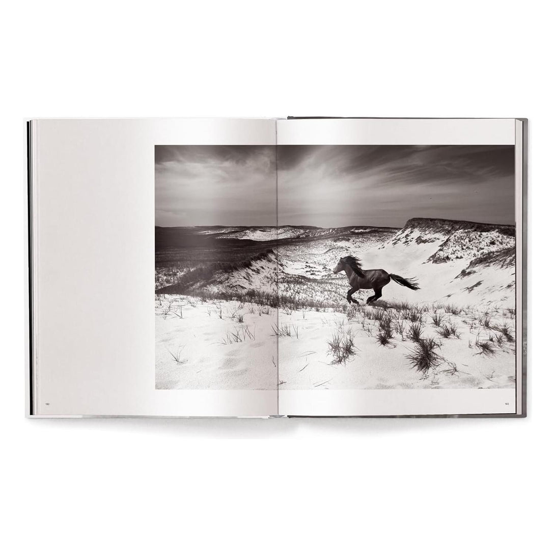 Untamed Spirits: Horses from Around the World - The Missing Piece Company