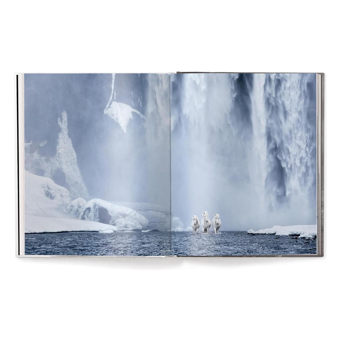 Untamed Spirits: Horses from Around the World - The Missing Piece Company