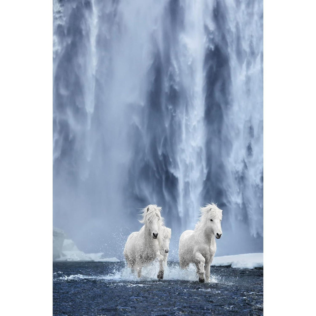 Untamed Spirits: Horses from Around the World - The Missing Piece Company