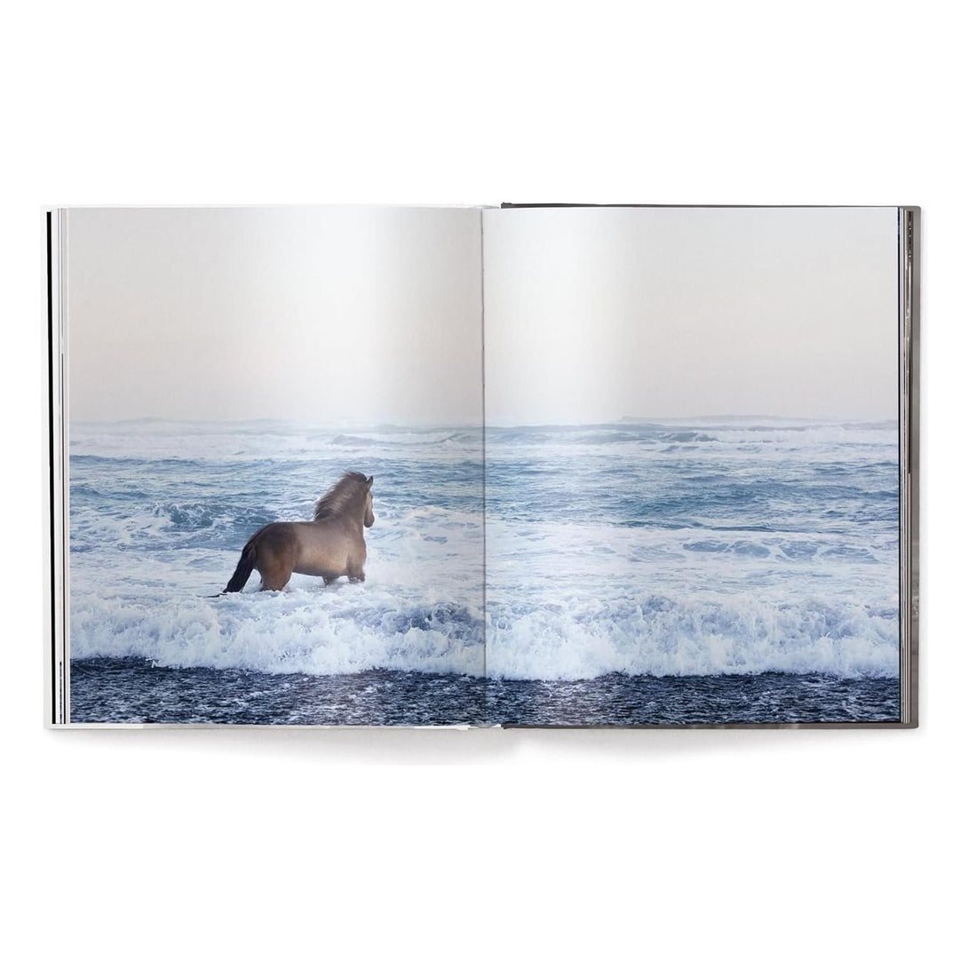 Untamed Spirits: Horses from Around the World - The Missing Piece Company