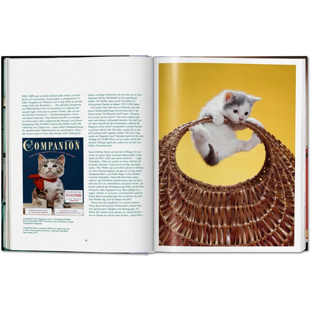 Walter Chandoha. Cats. Photographs 1942-2018 - The Missing Piece Company