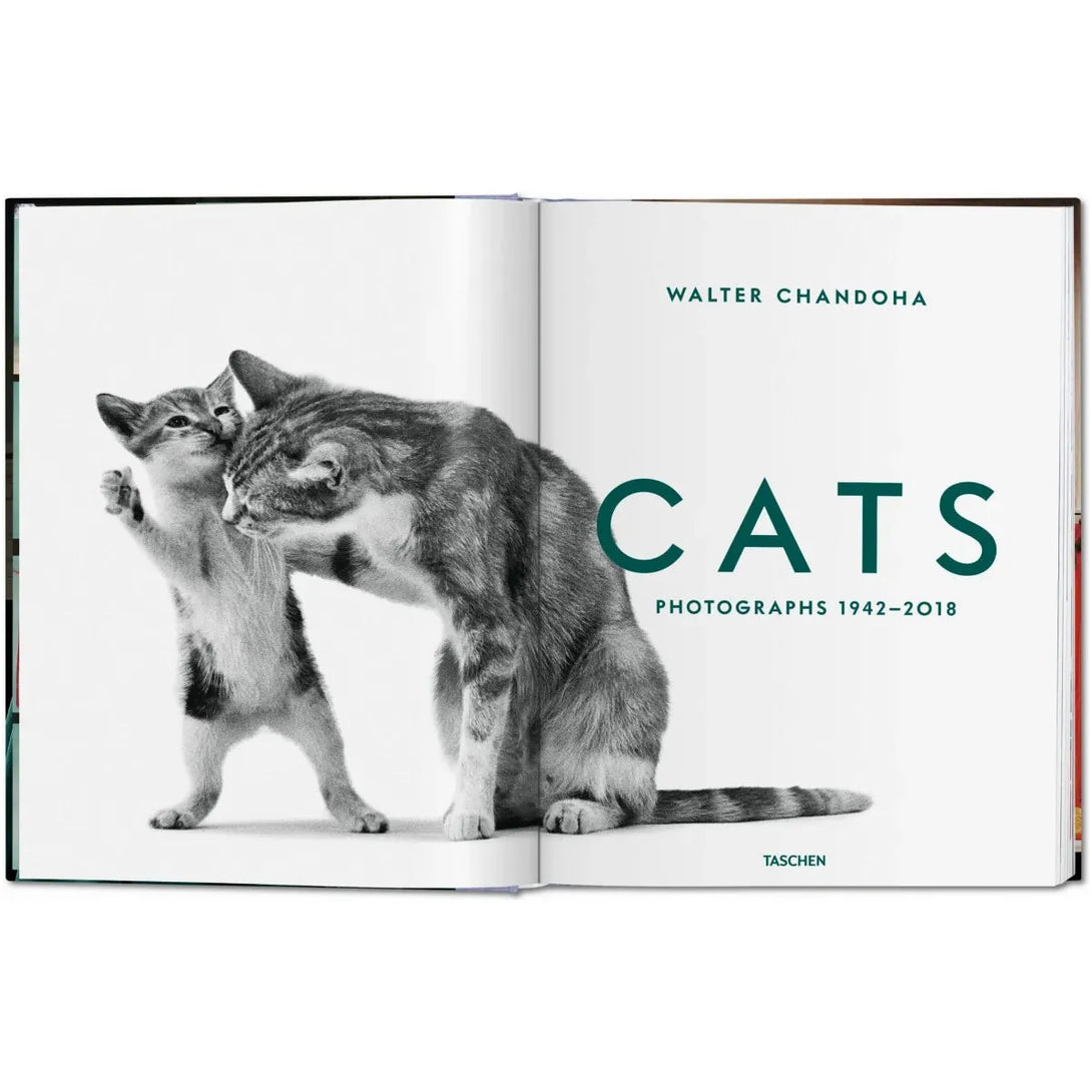 Walter Chandoha. Cats. Photographs 1942-2018 - The Missing Piece Company
