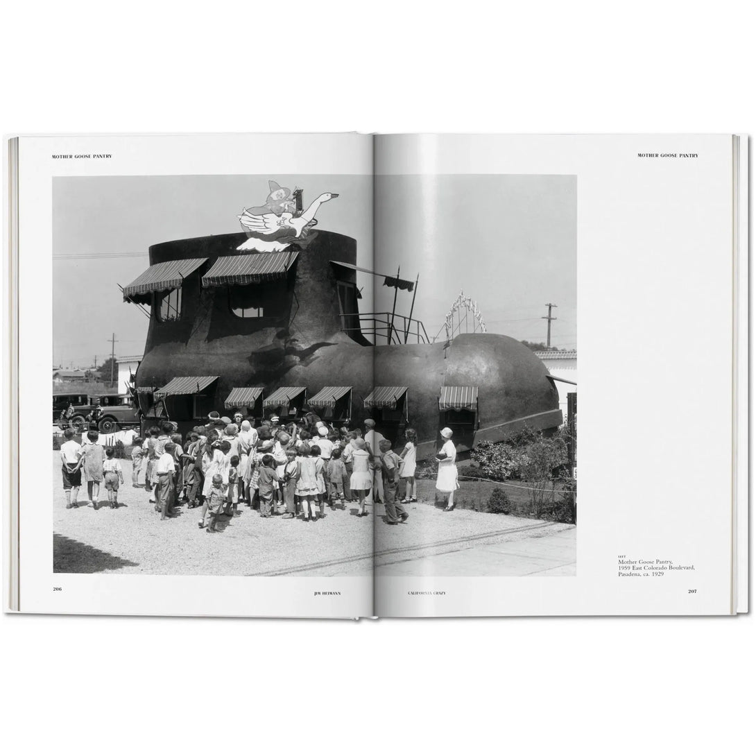 California Crazy. American Pop Architecture - The Missing Piece Company