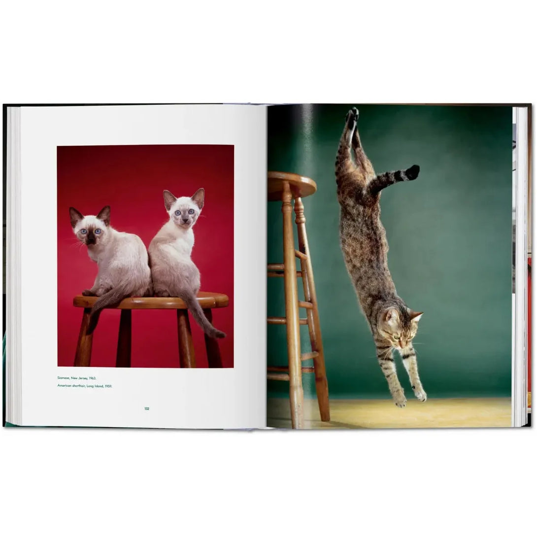 Walter Chandoha. Cats. Photographs 1942-2018 - The Missing Piece Company
