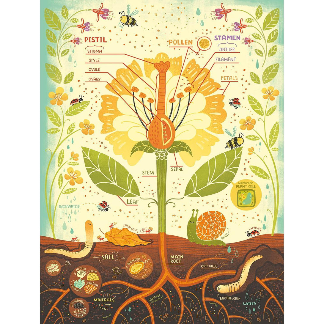 What's Inside a Flower? Puzzle: Exploring Science and Nature 500-Piece Jigsaw Puzzle Jigsaw Puzzles for Adults and Jigsaw Puzzles for Kids - The Missing Piece Company