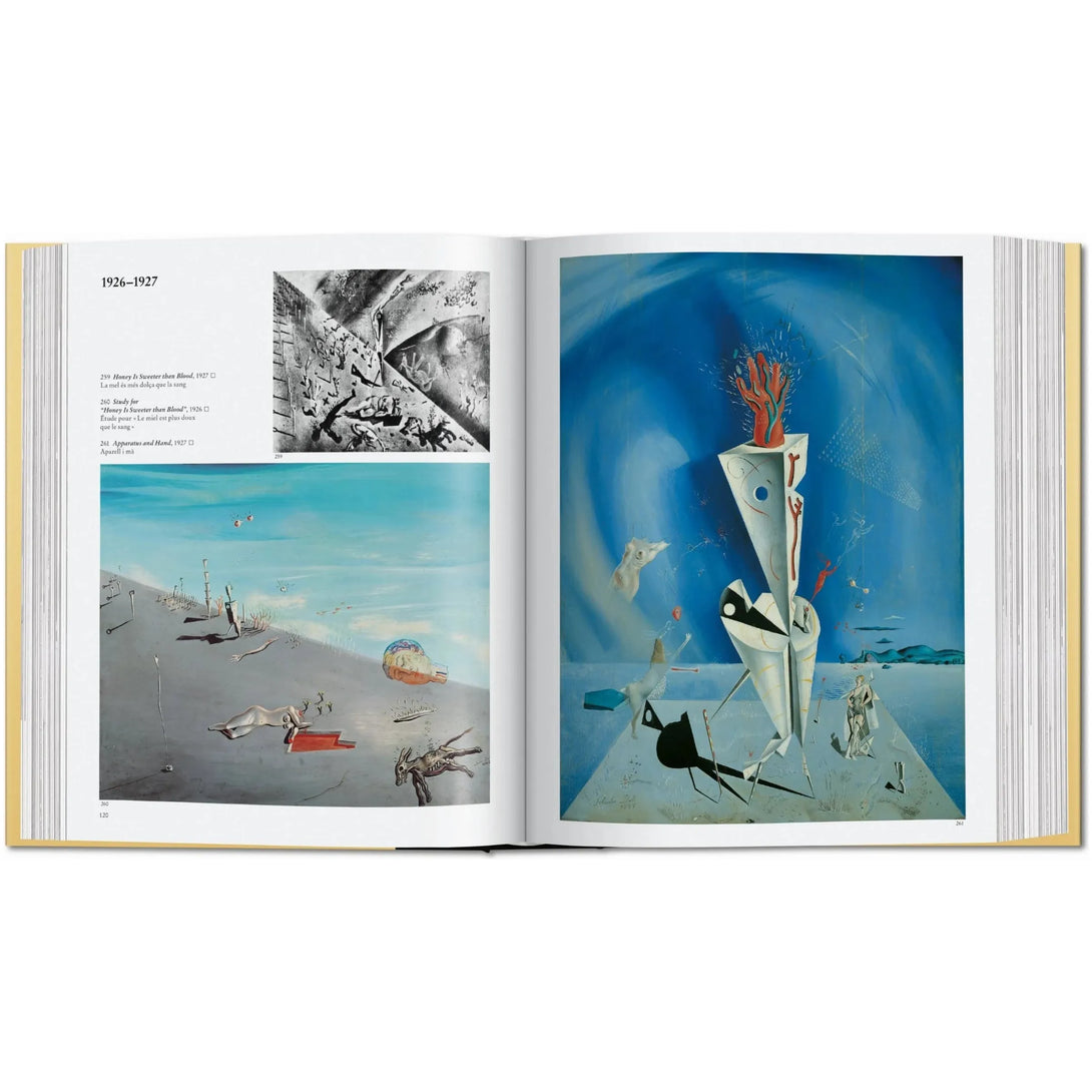 Dalí. the Paintings - The Missing Piece Company