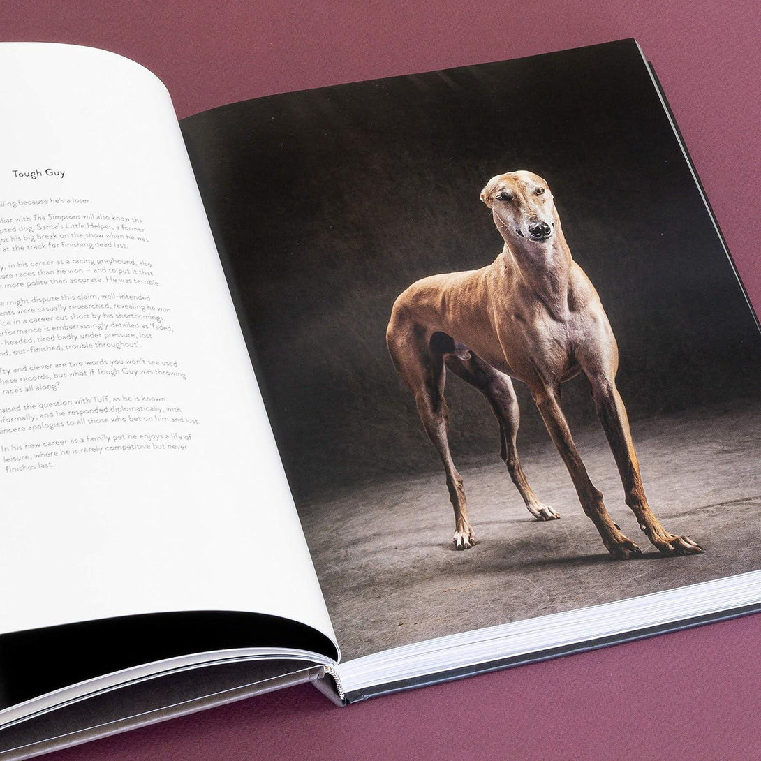 Year of the Dogs - The Missing Piece Company