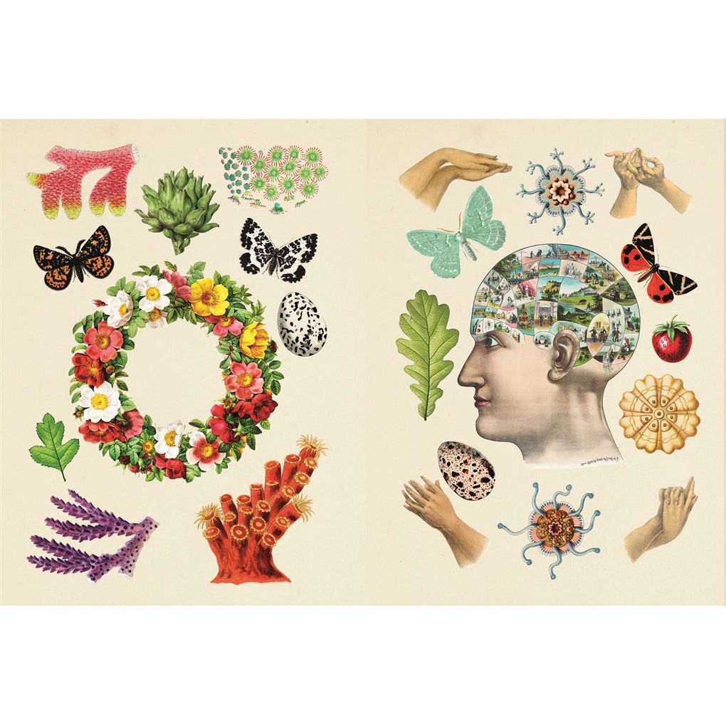 Antiquarian Sticker Book: Over 1,000 Exquisite Victorian Stickers - The Missing Piece Company