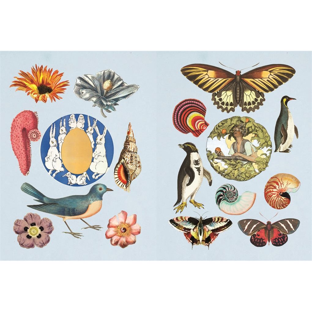 Antiquarian Sticker Book: Over 1,000 Exquisite Victorian Stickers - The Missing Piece Company