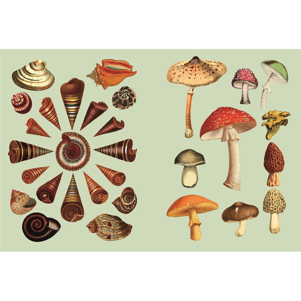 Antiquarian Sticker Book: Over 1,000 Exquisite Victorian Stickers - The Missing Piece Company