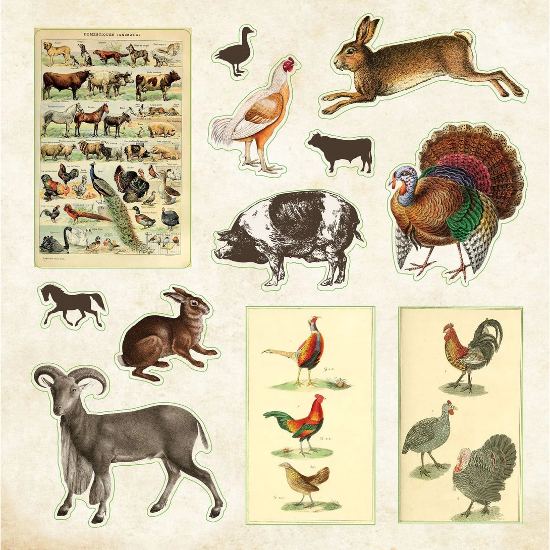 Zoological Ephemera Sticker Book (Over 680 Stickers!) - The Missing Piece Company