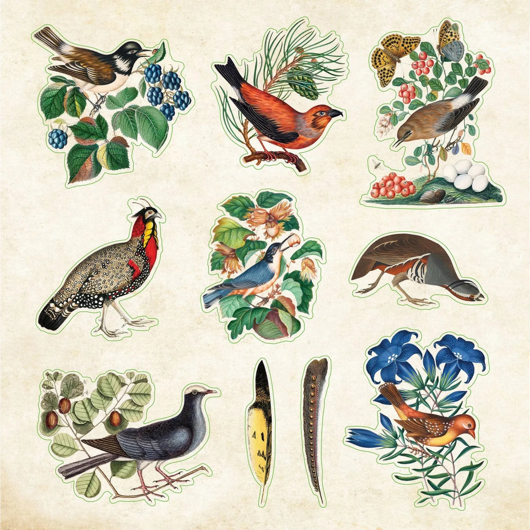 Zoological Ephemera Sticker Book (Over 680 Stickers!) - The Missing Piece Company