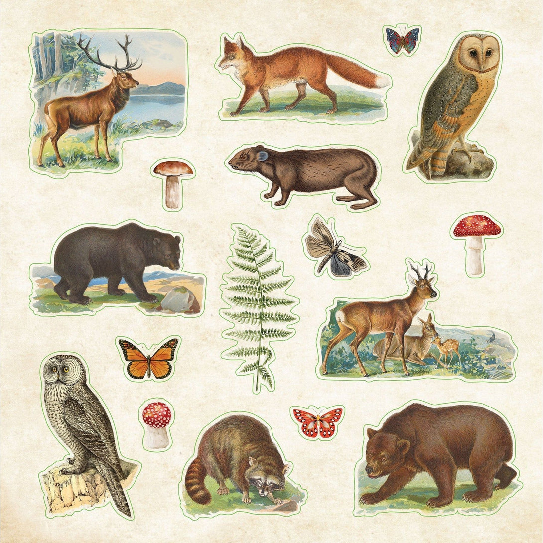 Zoological Ephemera Sticker Book (Over 680 Stickers!) - The Missing Piece Company