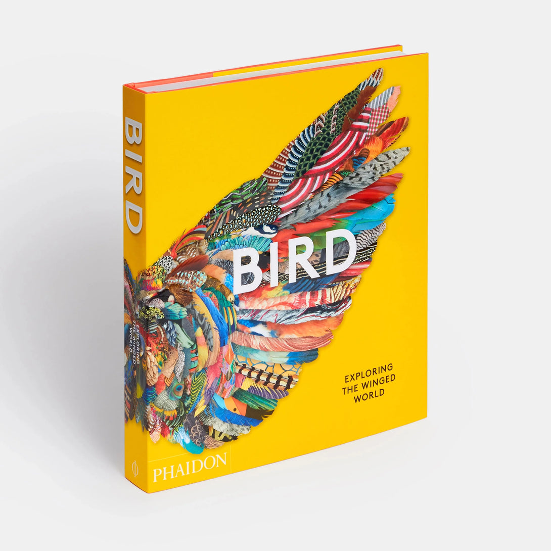 Bird: Exploring the Winged World - The Missing Piece Company