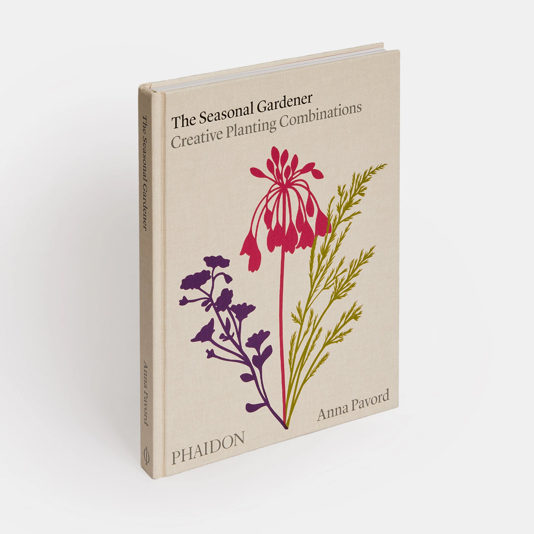 Seasonal Gardener: Creative Planting Combinations - The Missing Piece Company