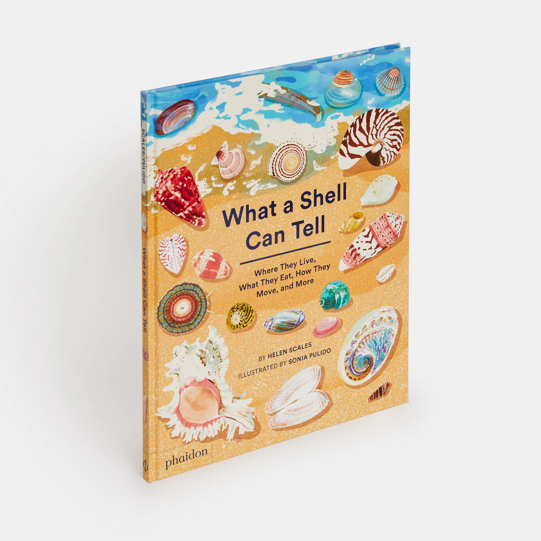 What a Shell Can Tell - The Missing Piece Company