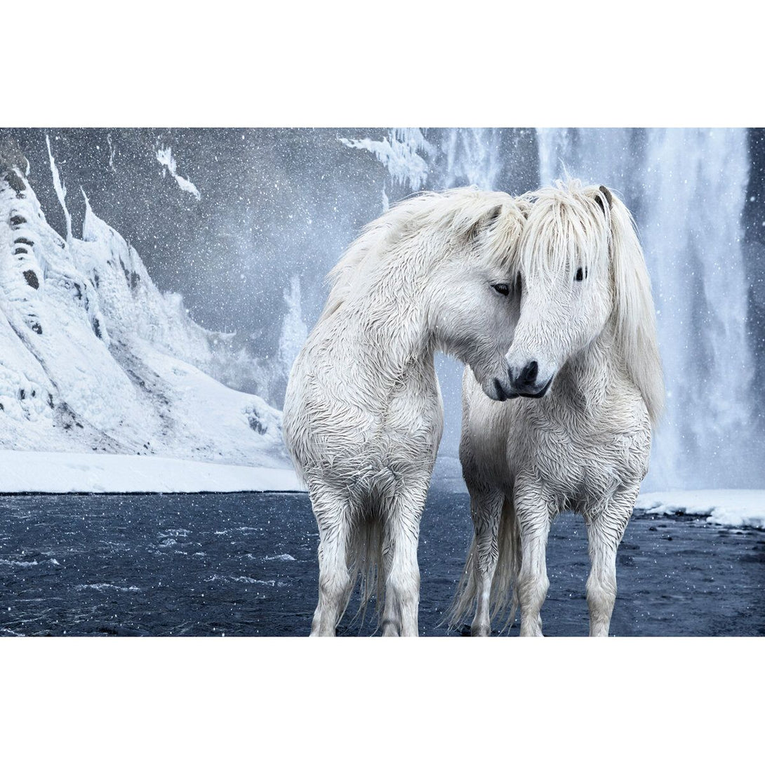 Untamed Spirits: Horses from Around the World - The Missing Piece Company
