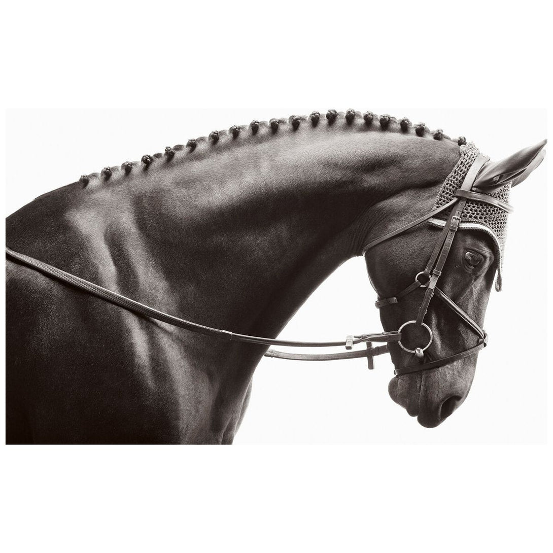 Untamed Spirits: Horses from Around the World - The Missing Piece Company