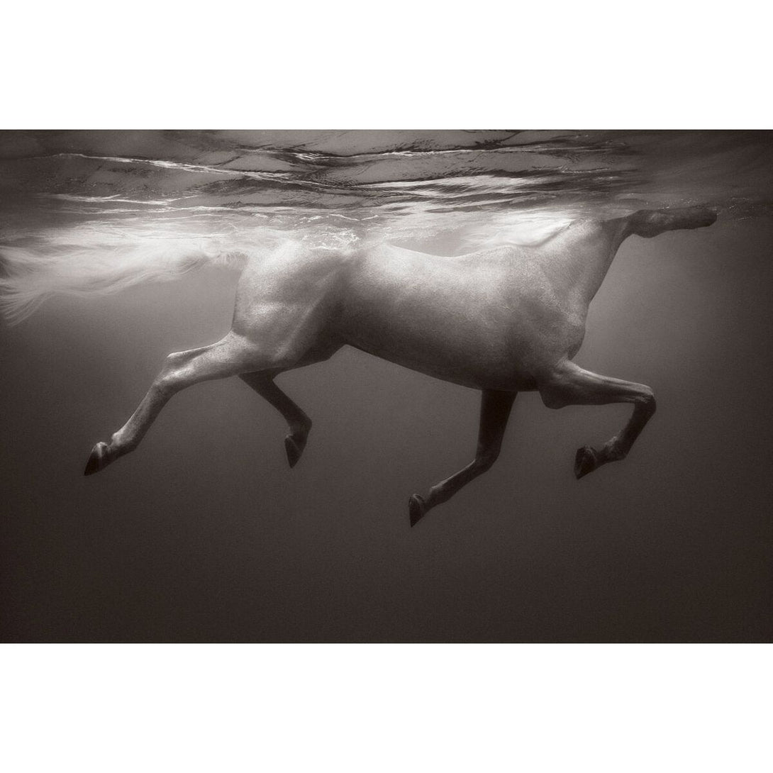 Untamed Spirits: Horses from Around the World - The Missing Piece Company