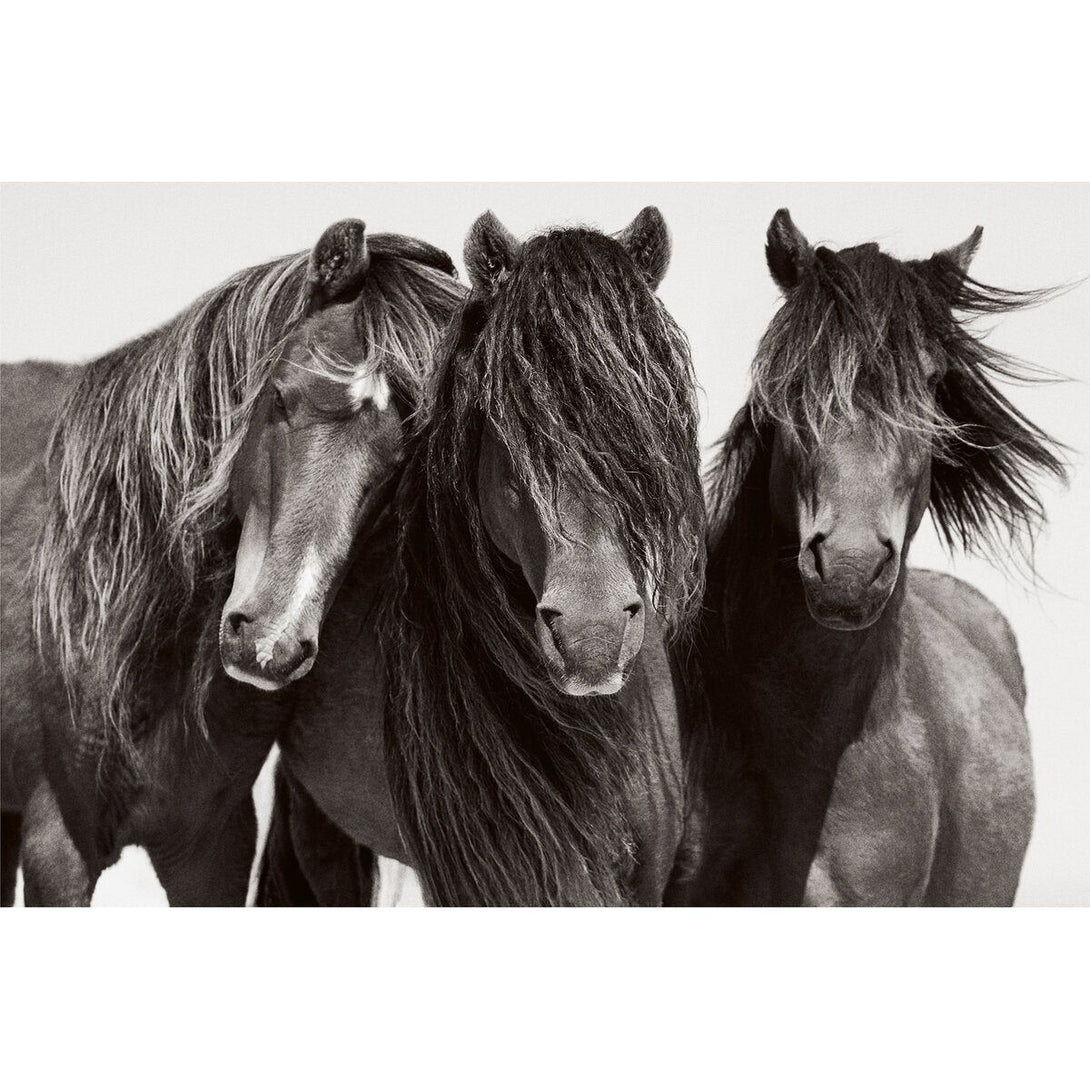 Untamed Spirits: Horses from Around the World - The Missing Piece Company