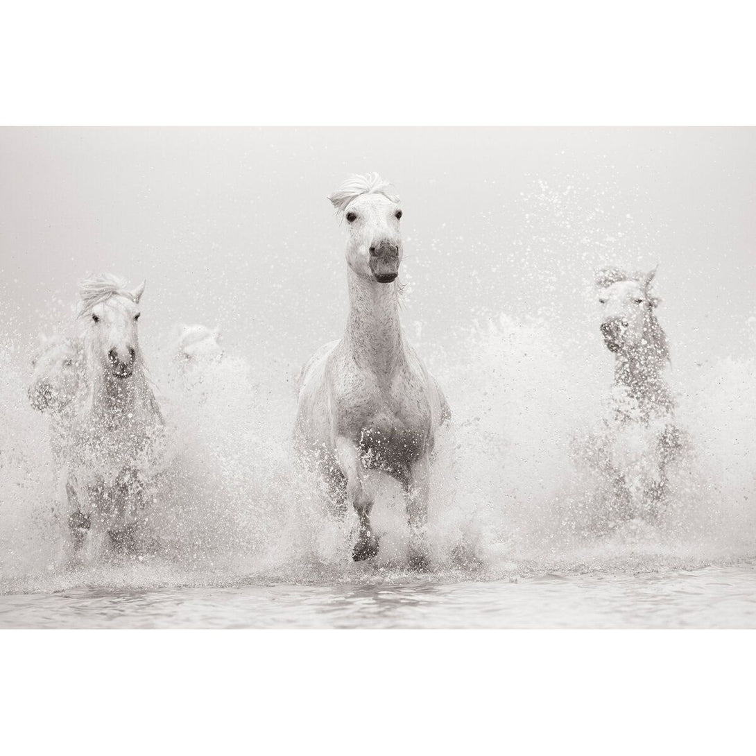 Untamed Spirits: Horses from Around the World - The Missing Piece Company