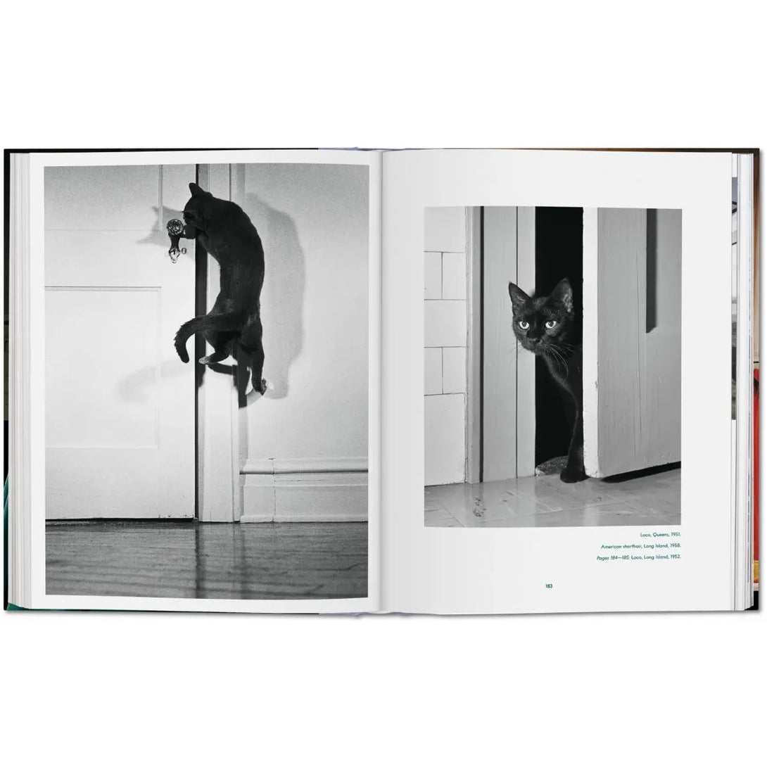 Walter Chandoha. Cats. Photographs 1942-2018 - The Missing Piece Company