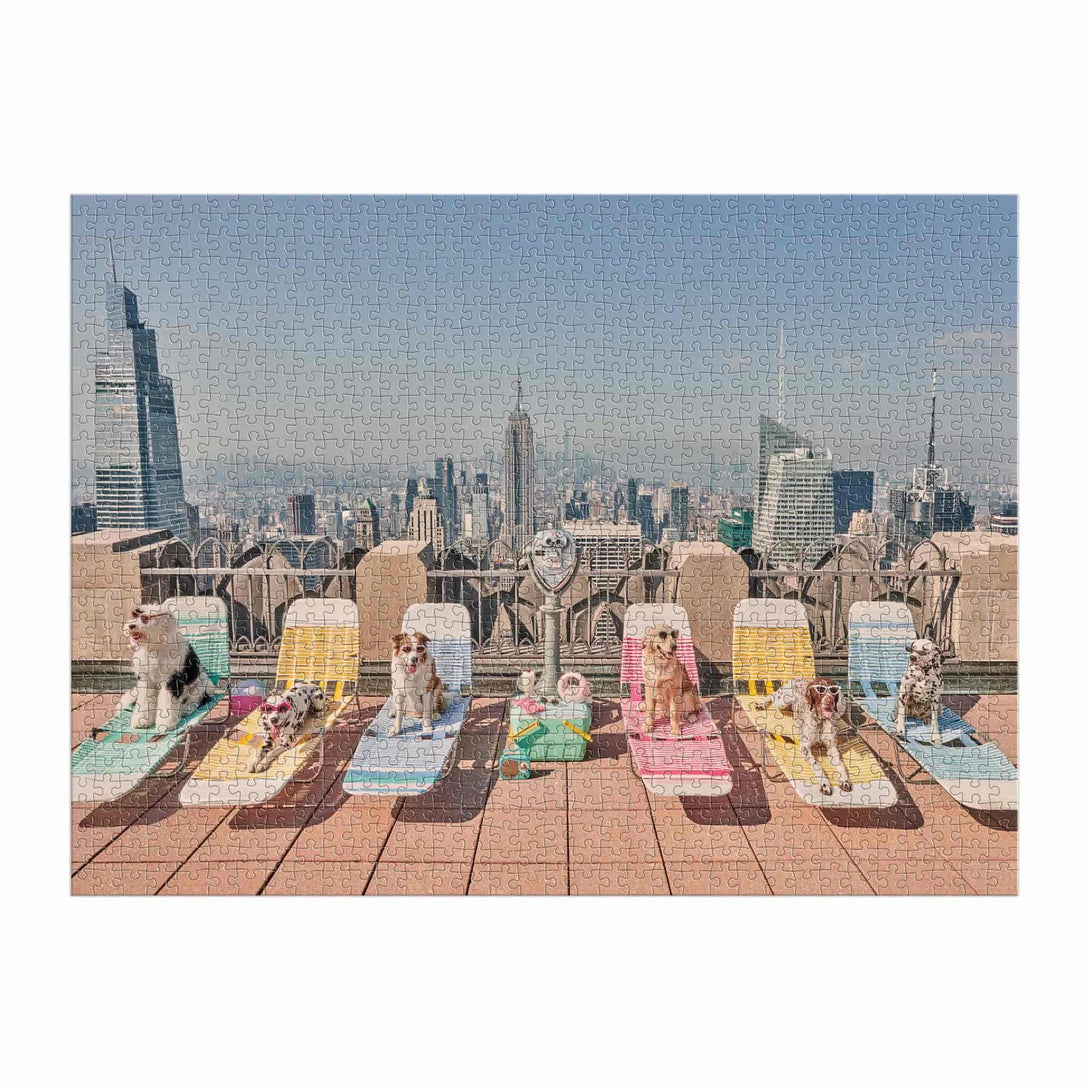 Gray Malin the Dogs of New York City 1000 Piece Puzzle - The Missing Piece Company