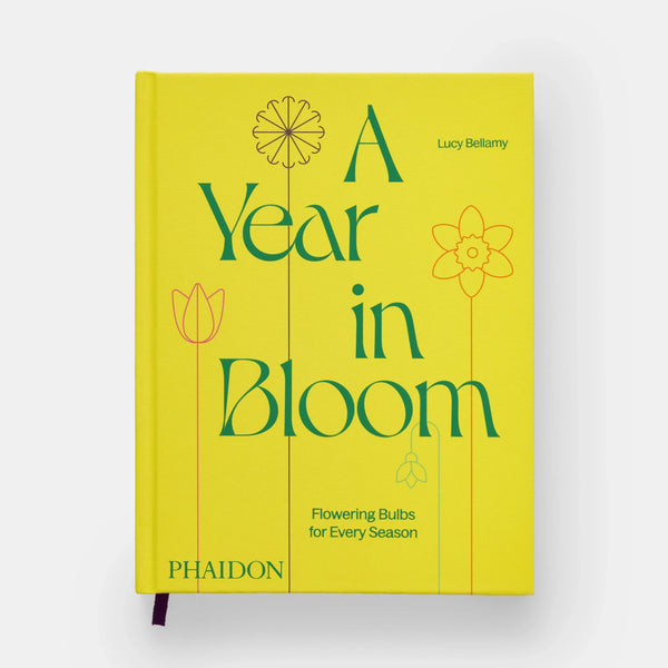 Year in Bloom: Flowering Bulbs for Every Season - The Missing Piece Company