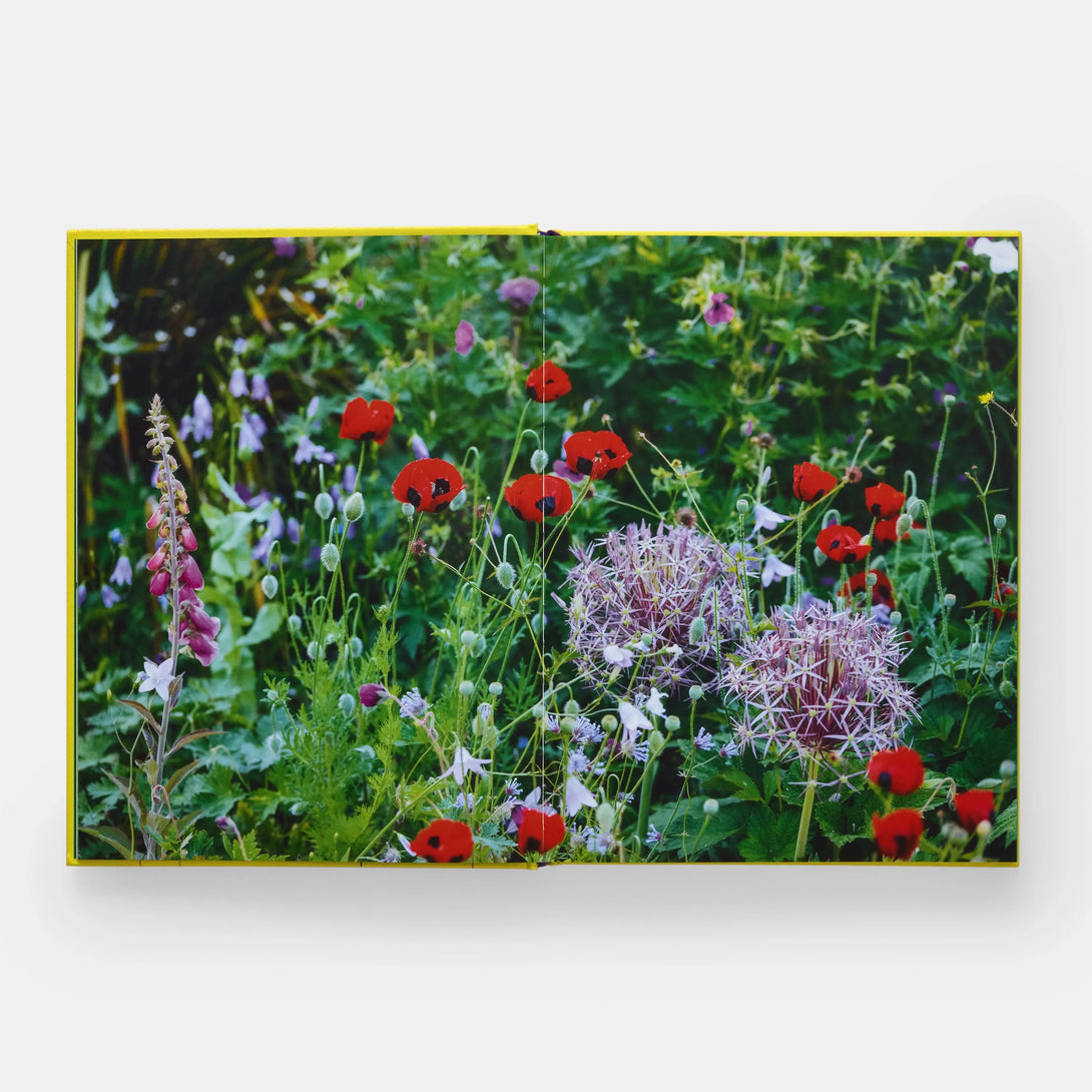 Year in Bloom: Flowering Bulbs for Every Season - The Missing Piece Company