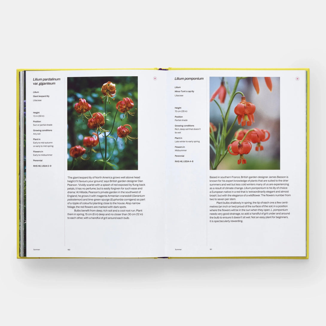 Year in Bloom: Flowering Bulbs for Every Season - The Missing Piece Company